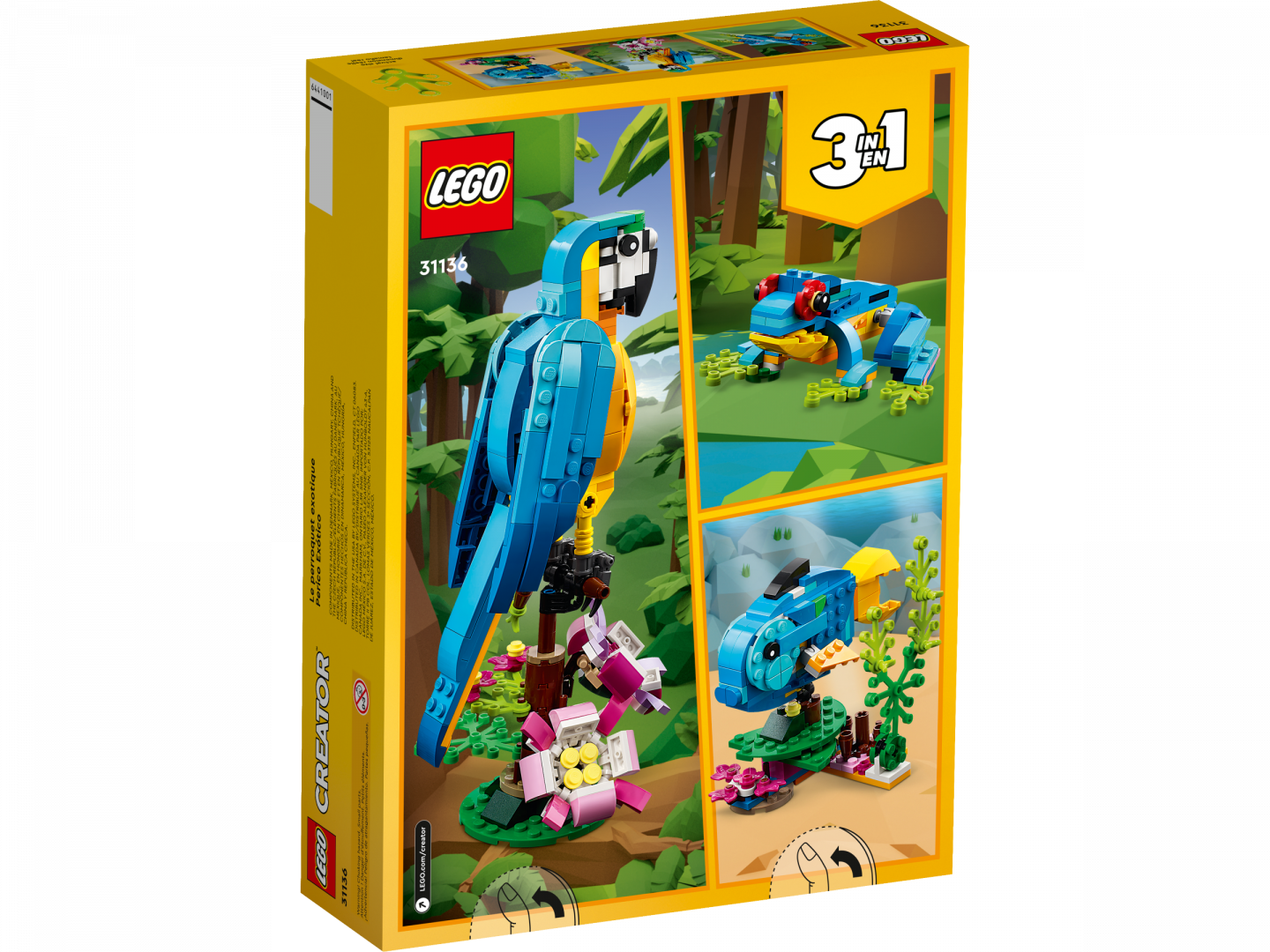 Exotische papegaai — Afbeelding 8