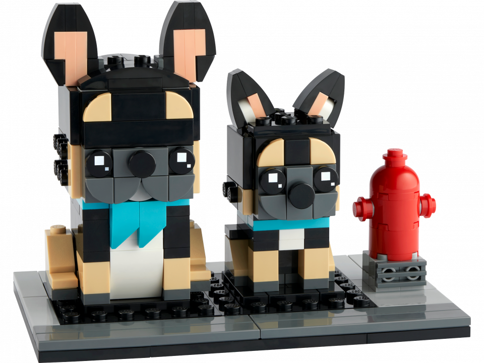 Lego Dierendag
