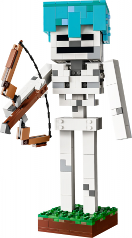 Het skelet