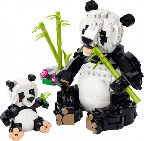 Wilde dieren: pandafamilie