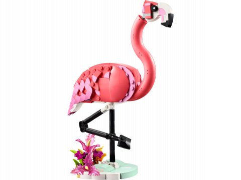 Wilde dieren: roze flamingo