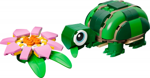 Schildpad met waterlelie