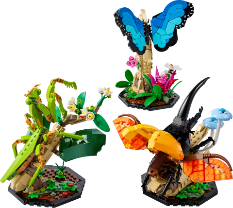 De insectencollectie
