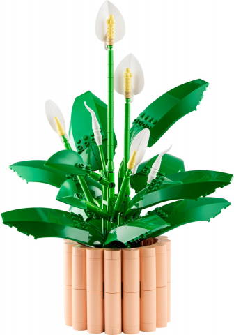 Lepelplant