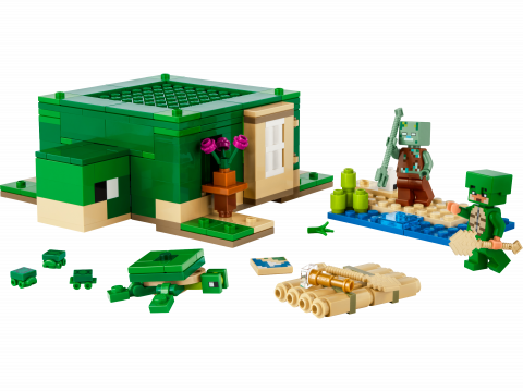 Het schildpadstrandhuis