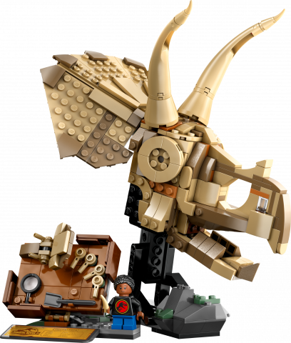 Dinosaurusfossielen: Triceratops schedel