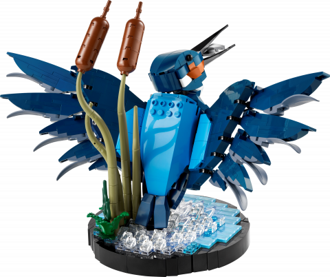 IJsvogel