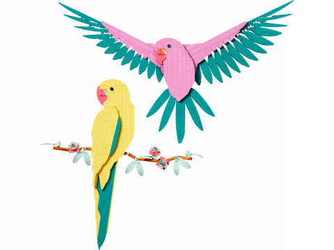 De Faunacollectie – Kleurrijke papegaaien