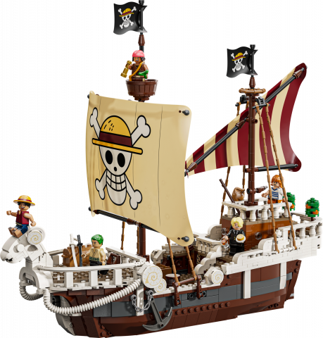 Het piratenschip Going Merry