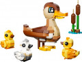 Eendenfamilie