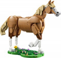 Prachtig paard